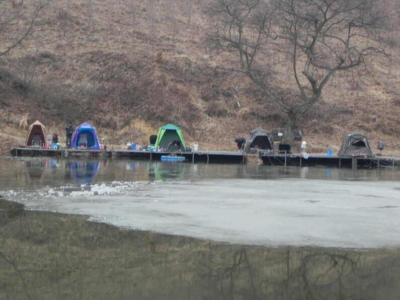 회암낚시터 물낚시 합니다 (유료터정보 - 유료터점주조황)