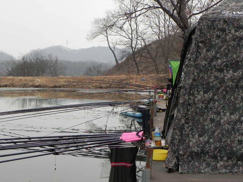 회암낚시터 물낚시 합니다 (유료터정보 - 유료터점주조황)