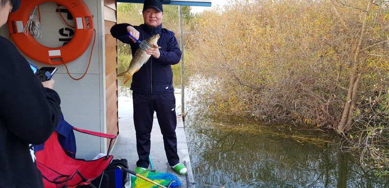 39cm 대물붕어 송전지 수원좌대 (유료터정보 - 유료터점주조황)