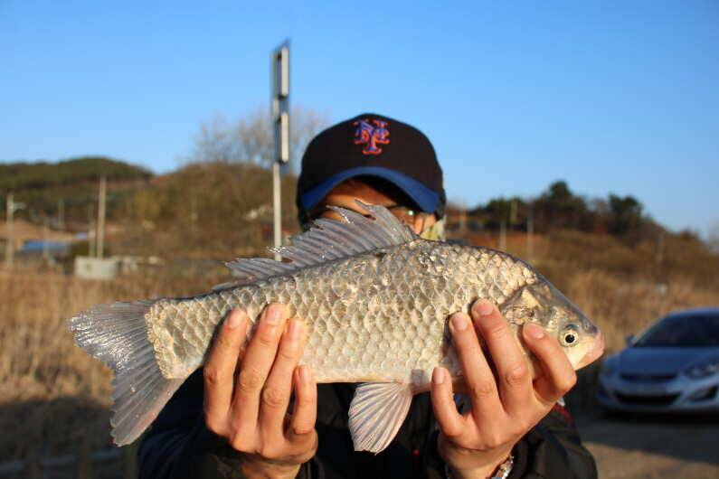 fish_pay_e00a3_093713_77746.jpg
