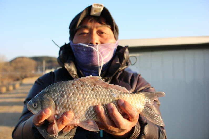 fish_pay_e6068_093703_61697.jpg