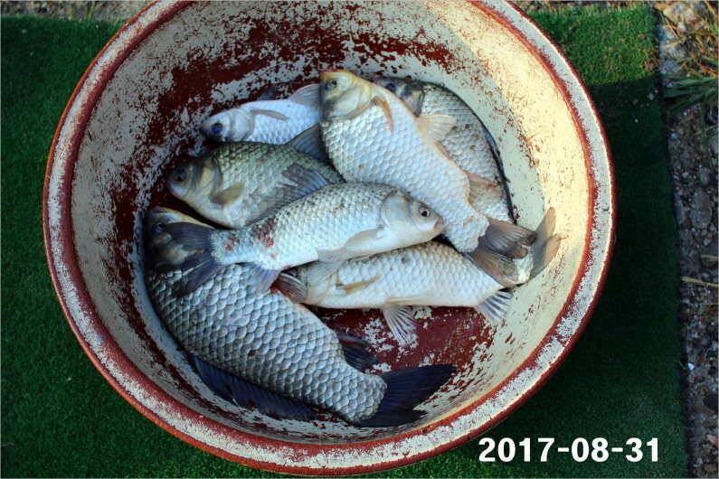 4짜 500번째 조사님을 찾습니다 (유료터정보 - 유료터점주조황)
