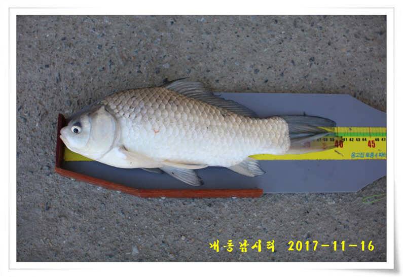 4짜 600번째 조사님을 찾습니다 (유료터정보 - 유료터점주조황)