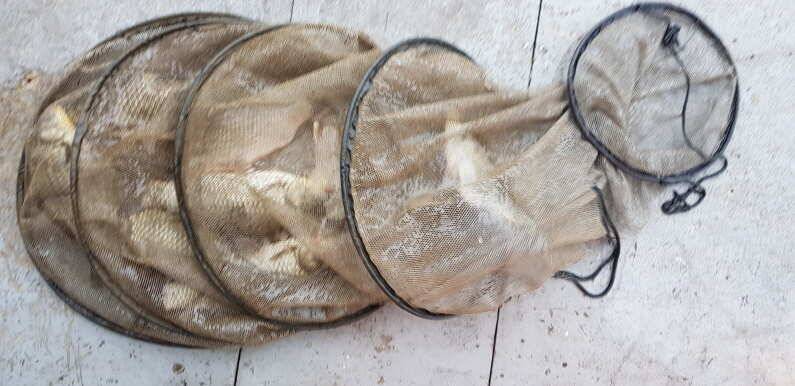 오름수위 마릿수 조황 송전지 수원좌대 (유료터정보 - 유료터점주조황)