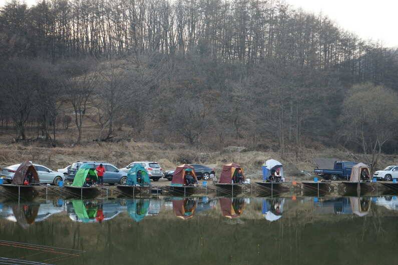 안성 회암낚시터 조황 입니다 (유료터정보 - 유료터점주조황)