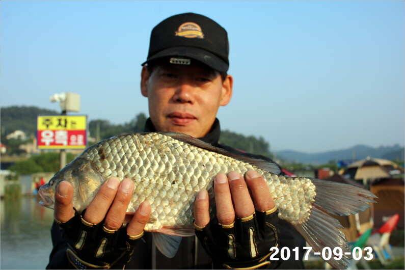 주간 이벤트 주인공 (유료터정보 - 유료터점주조황)