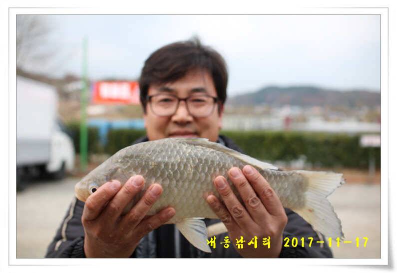 토종 4짜들 입질이 빈번합니다 (유료터정보 - 유료터점주조황)