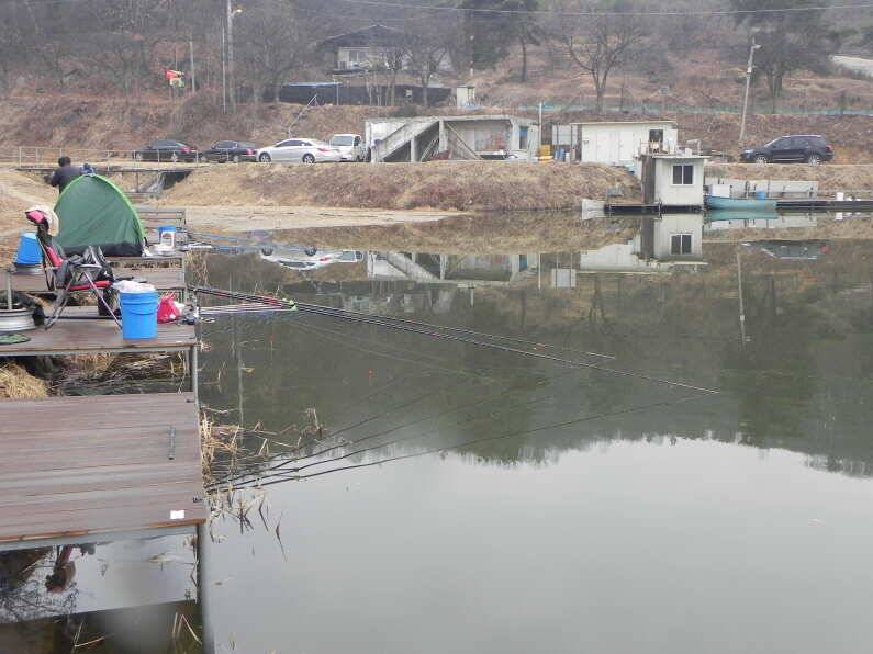 안성회암낚시터 주말조황 입니다 (유료터정보 - 유료터점주조황)
