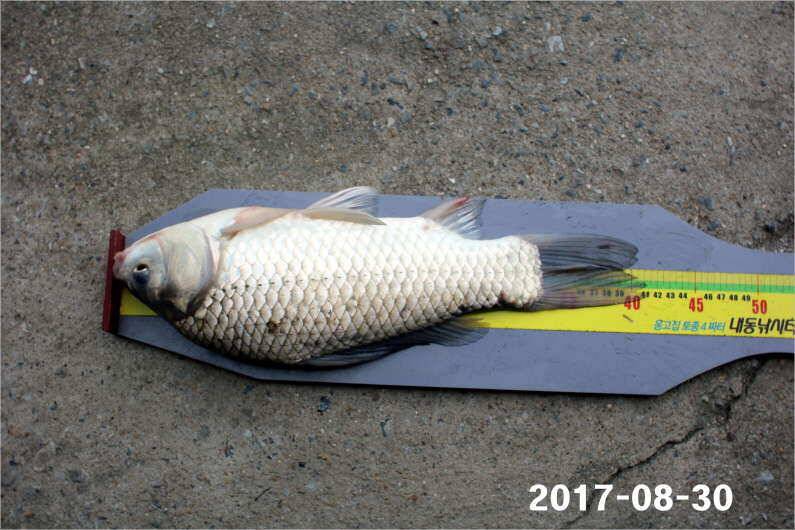 4짜 500번째 조사님을 찾습니다 (유료터정보 - 유료터점주조황)