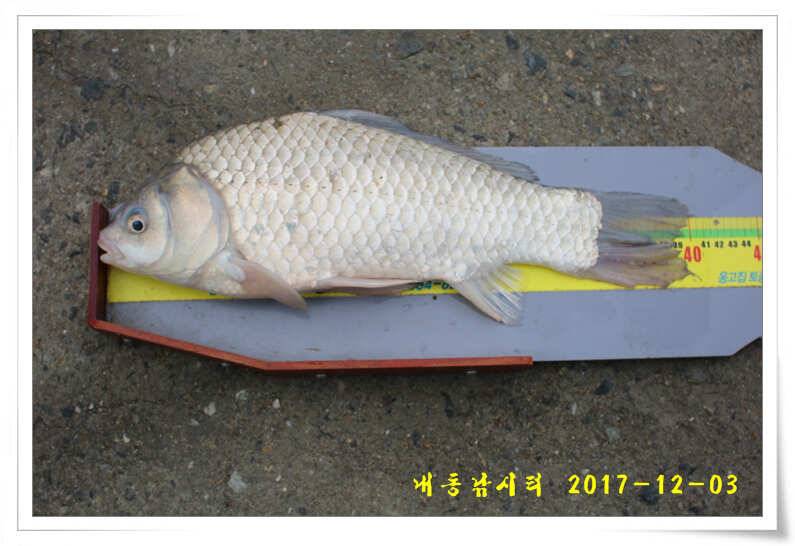 따뜻한 겨울 물낚시 (유료터정보 - 유료터점주조황)