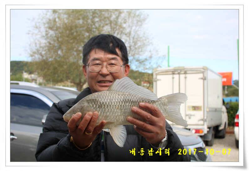 추석 연휴 대박 조황 (유료터정보 - 유료터점주조황)