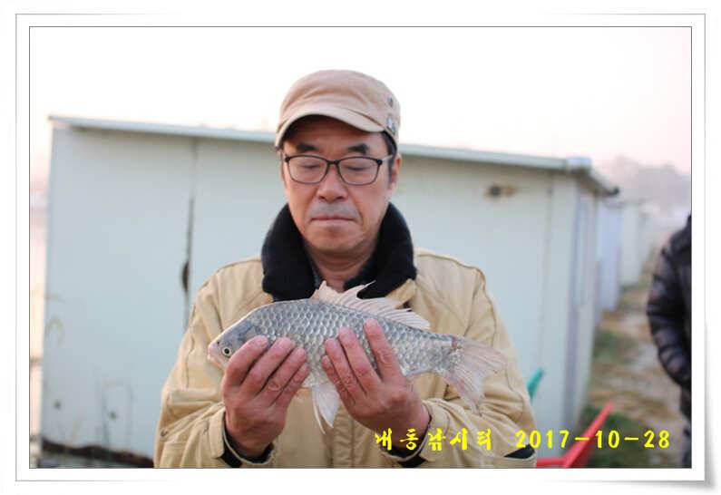 조황과 월동준비 (유료터정보 - 유료터점주조황)