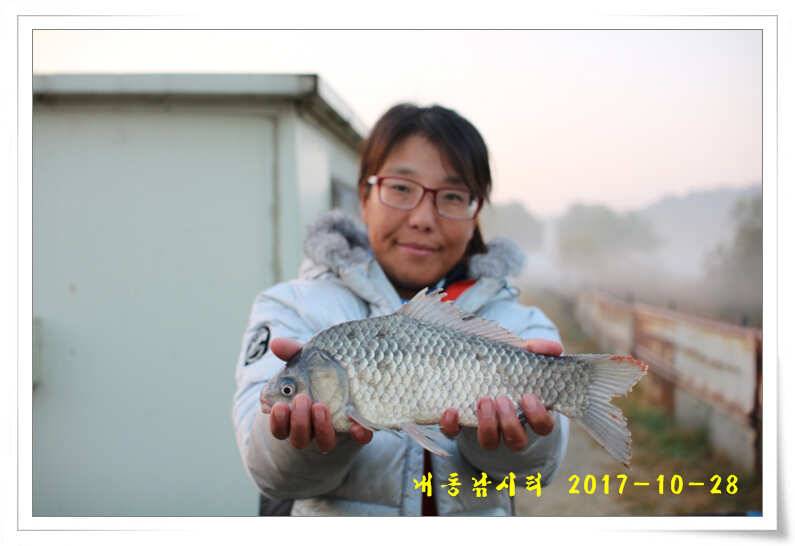 조황과 월동준비 (유료터정보 - 유료터점주조황)