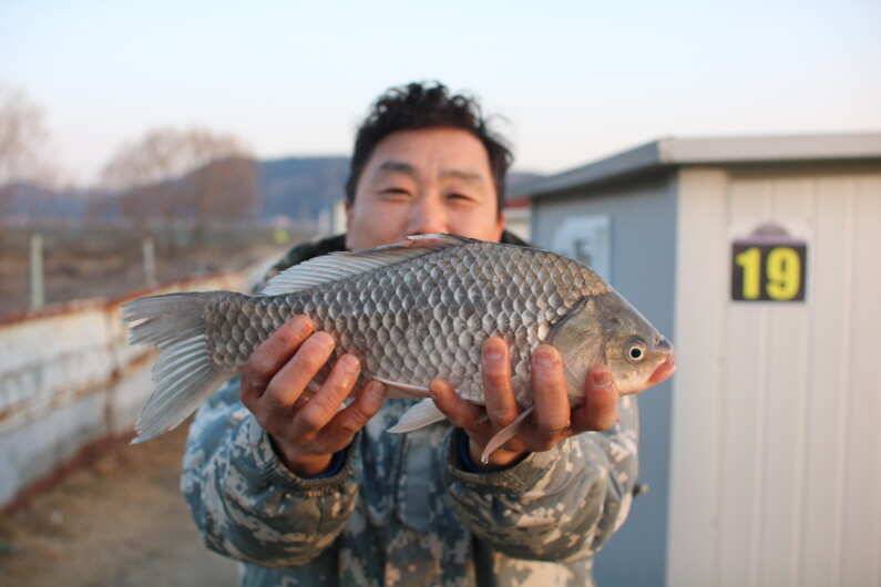 준설 중 4짜 5마리 (유료터정보 - 유료터점주조황)