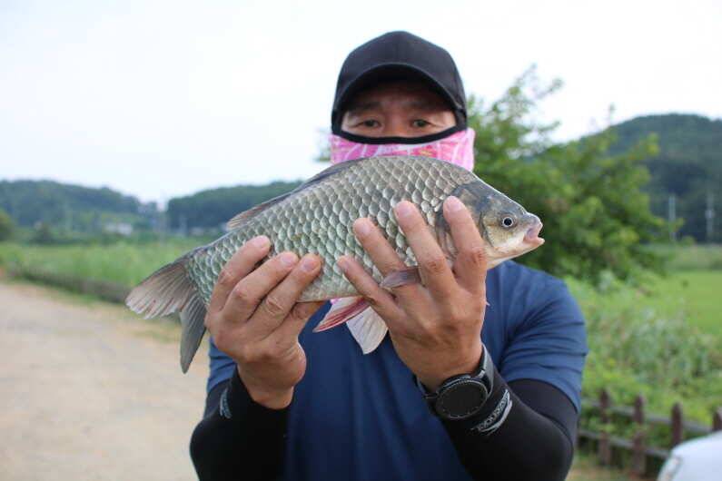 fish_pay_f06f6_110210_79288.jpg