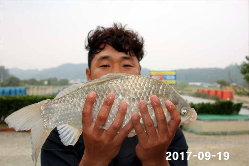 추석이벤트 (유료터정보 - 유료터점주조황)