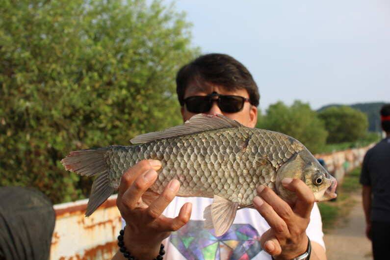 fish_pay_f34a4_110145_86823.jpg