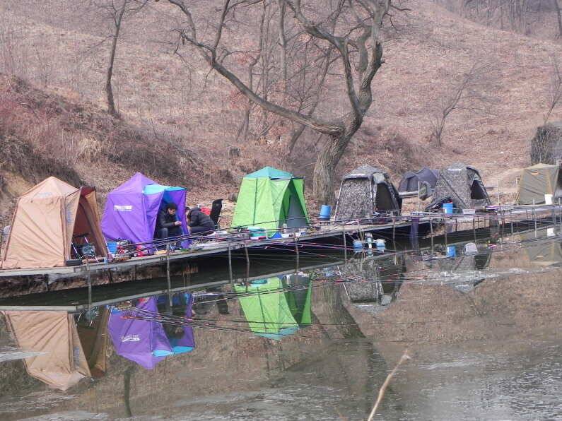 회암낚시터 물낚시 합니다 (유료터정보 - 유료터점주조황)