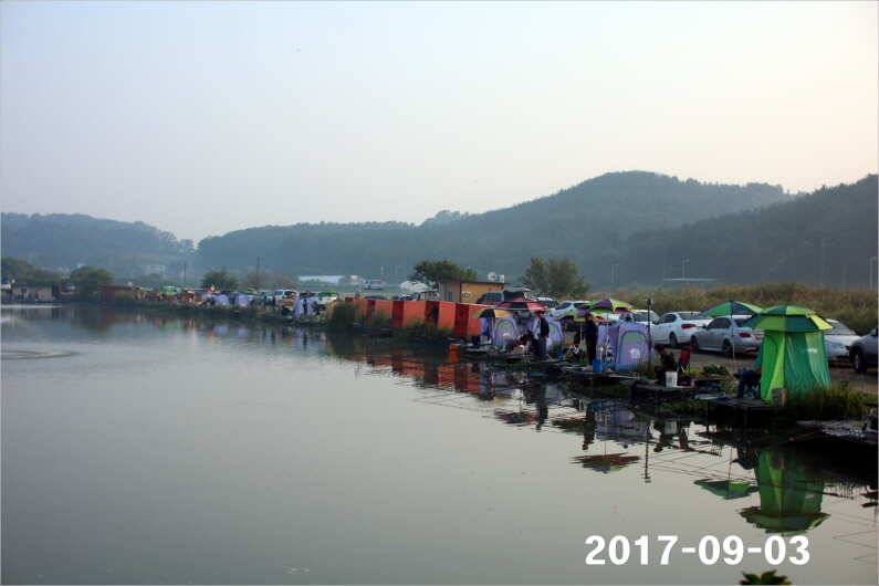 주간 이벤트 주인공 (유료터정보 - 유료터점주조황)