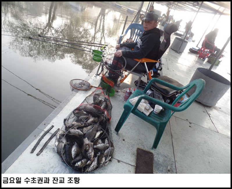 아산죽산지422일 금요일잔교와 수초권 조황 (유료터정보 - 유료터점주조황)