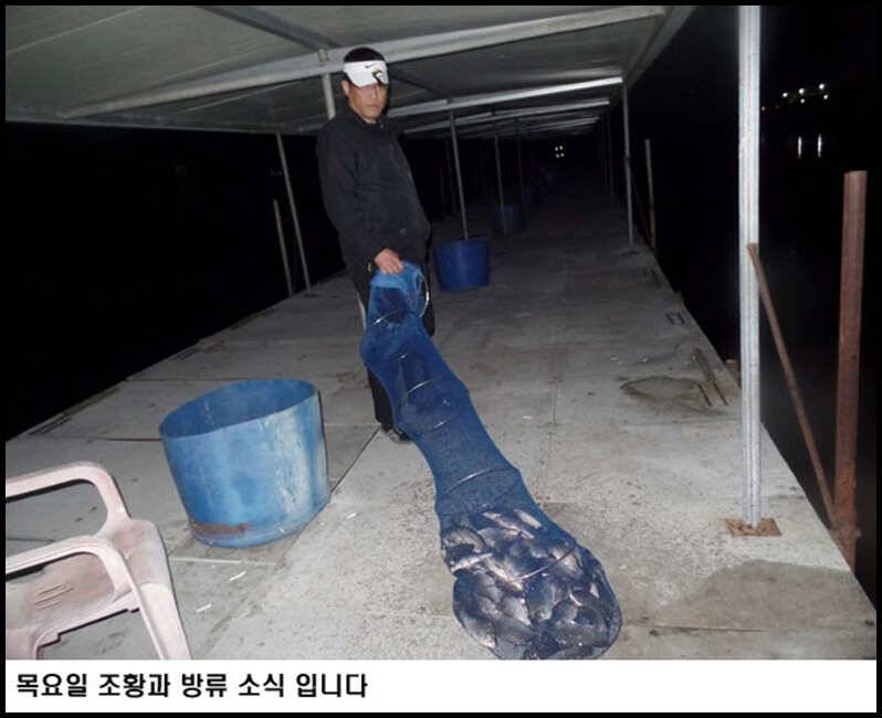 아산죽산지519일 목요일 조황과 방류 (유료터정보 - 유료터점주조황)