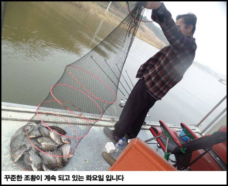 아산죽산지118일 화요일 조황과 좌대 배치 완료 (유료터정보 - 유료터점주조황)