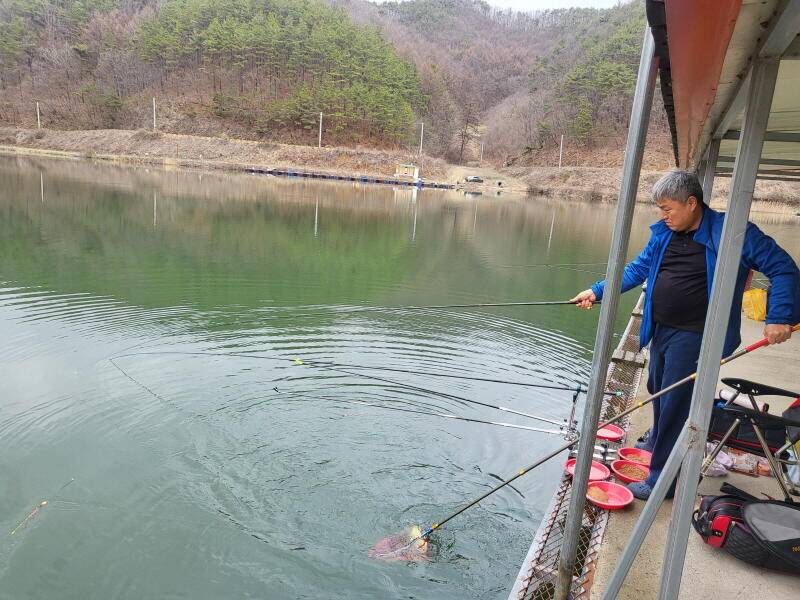 유구 명곡지의 4월1일 명곡지 모습 올립니다 (유료터정보 - 유료터점주조황)