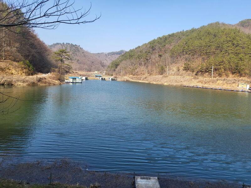 힐링터의 유구 명곡지 3월24일에 올리는 주말 모습입니다 (유료터정보 - 유료터점주조황)