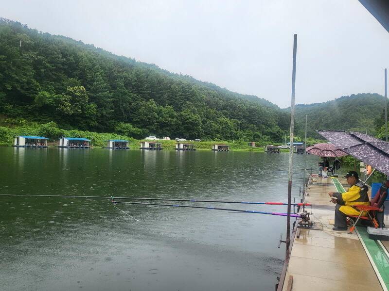 유구 명당의 명곡지 보기 드문 환상의 주말 모습 올립니다 (유료터정보 - 유료터점주조황)