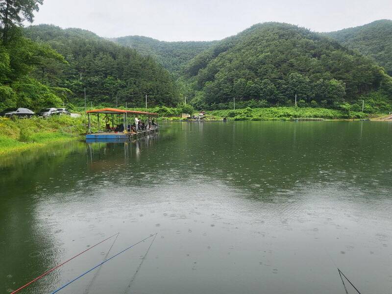 유구 명당의 명곡지 보기 드문 환상의 주말 모습 올립니다 (유료터정보 - 유료터점주조황)