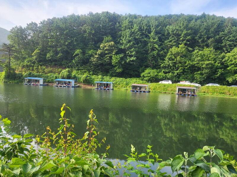 유구 명당의 명곡지 보기 드문 환상의 주말 모습 올립니다 (유료터정보 - 유료터점주조황)