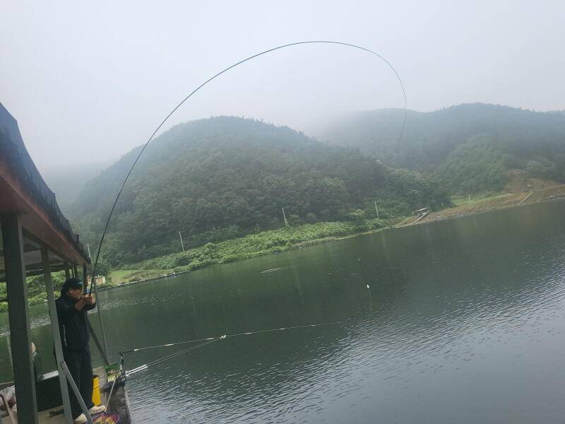 유구 명곡지의 어찌보면 어려운 주말 (유료터정보 - 유료터점주조황)