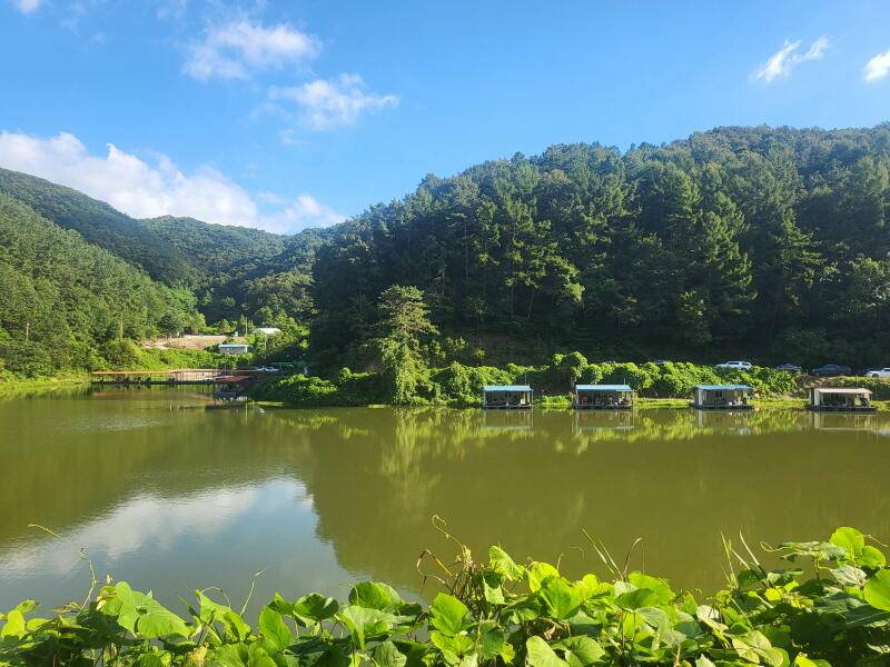 유구 명곡지의 어려웠던 물색조황이 되 살아나고 있네요 (유료터정보 - 유료터점주조황)