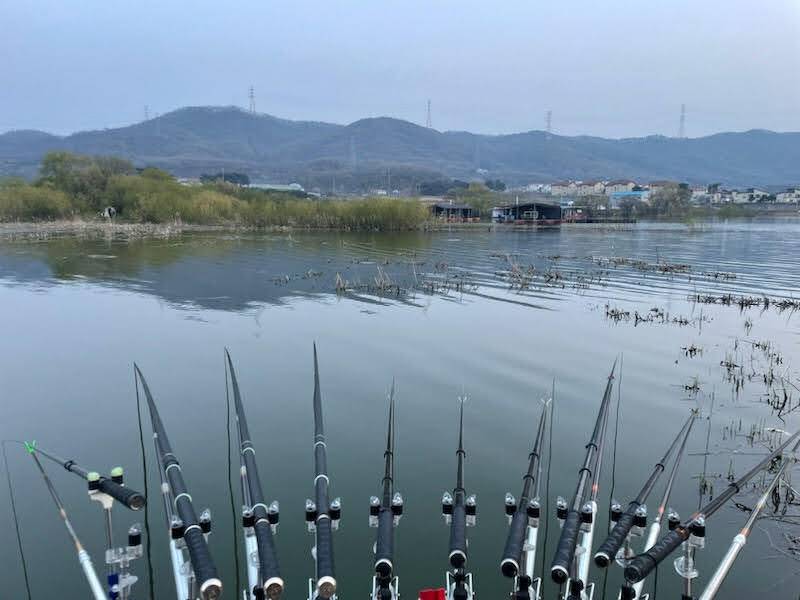 아산 안골지 조황정보 입니다 (유료터정보 - 유료터점주조황)