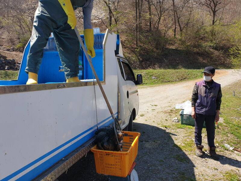 산 속의 호수 명곡지의 주말및 토종붕어 방류 모습 (유료터정보 - 유료터점주조황)