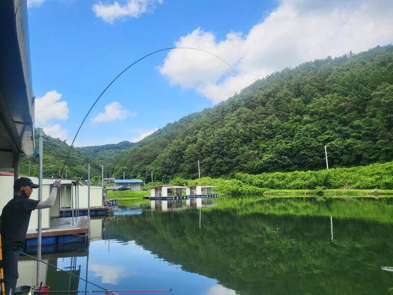 유구 명곡지의 어찌보면 어려운 주말 (유료터정보 - 유료터점주조황)