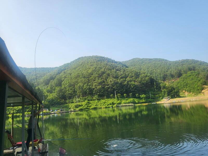 유구 명곡지의 어찌보면 어려운 주말 (유료터정보 - 유료터점주조황)