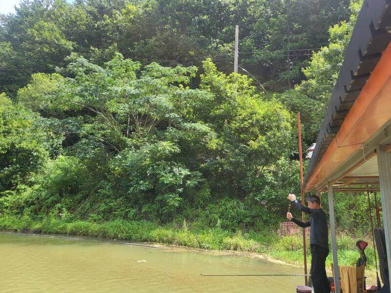 유구 명당의 명곡지 본래의 모습으로 돌아 오고있습니다 (유료터정보 - 유료터점주조황)
