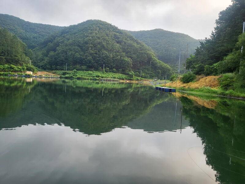 유구 명당의 명곡지 7월11일 방류모습 올립니다 (유료터정보 - 유료터점주조황)
