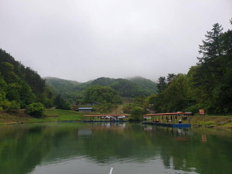 숲 속의 호수 명곡지의 주말 방류및 조황 모습 (유료터정보 - 유료터점주조황)