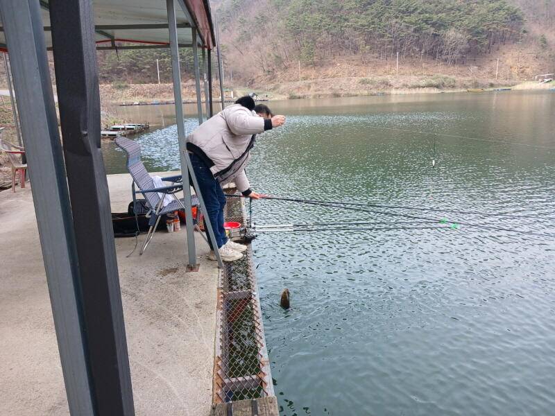 유구 명곡지의 4월10일 선거날 모습 입니다 (유료터정보 - 유료터점주조황)