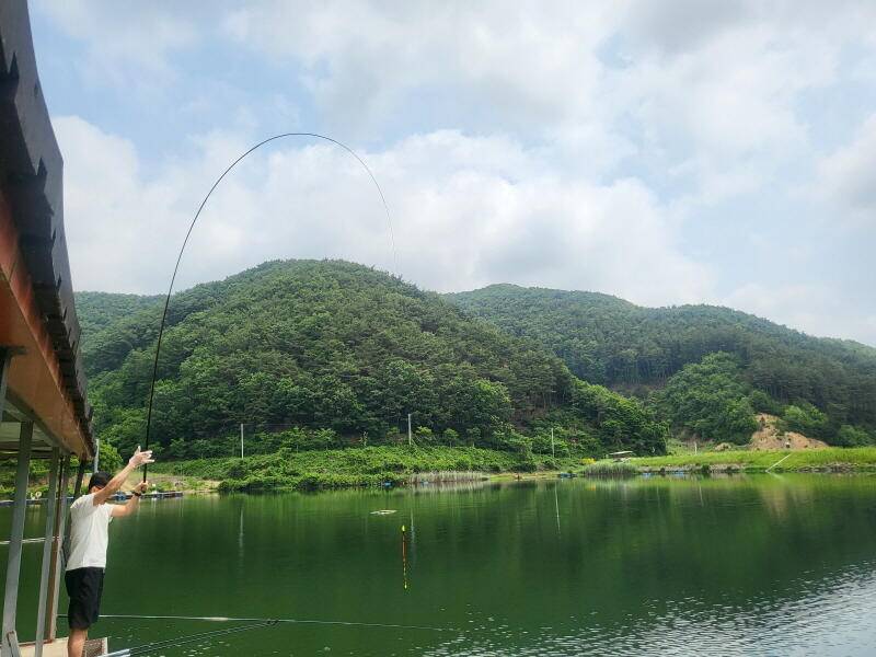 유구 명곡지의 6월13일 방류 및 잔교 이동 모습입니다 (유료터정보 - 유료터점주조황)