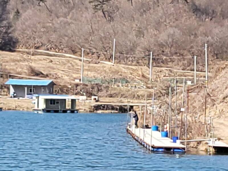 유구 명곡지의 3월15일 향어 방류 모습 입니다 (유료터정보 - 유료터점주조황)