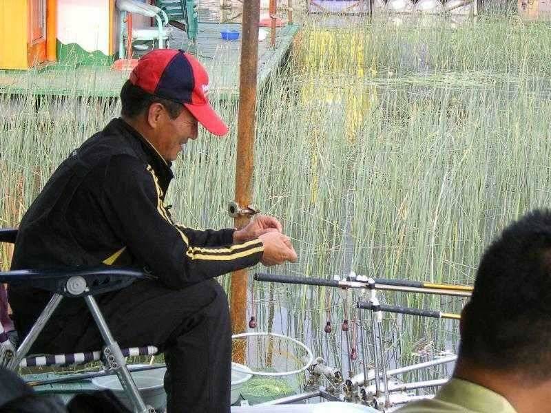 ★ 춘천 의암호 광명 낚시터 ★ (유료터정보 - 유료터점주조황)