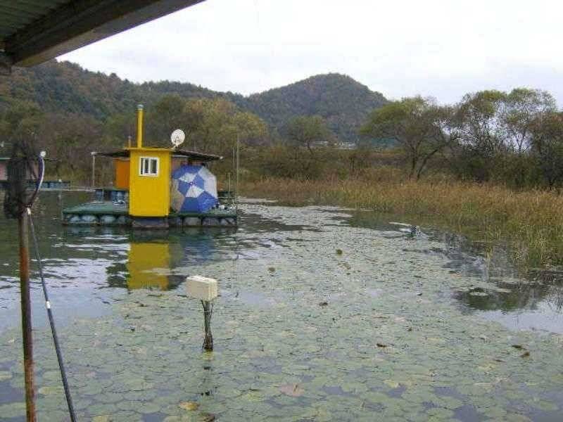 ★ 춘천 의암호 광명 낚시터 ★ (유료터정보 - 유료터점주조황)