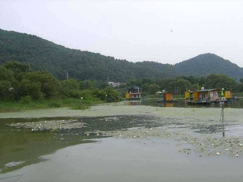 연밭 포인트 광명 낚시터 (유료터정보 - 유료터점주조황)
