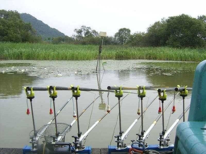 연밭 포인트 광명 낚시터 (유료터정보 - 유료터점주조황)