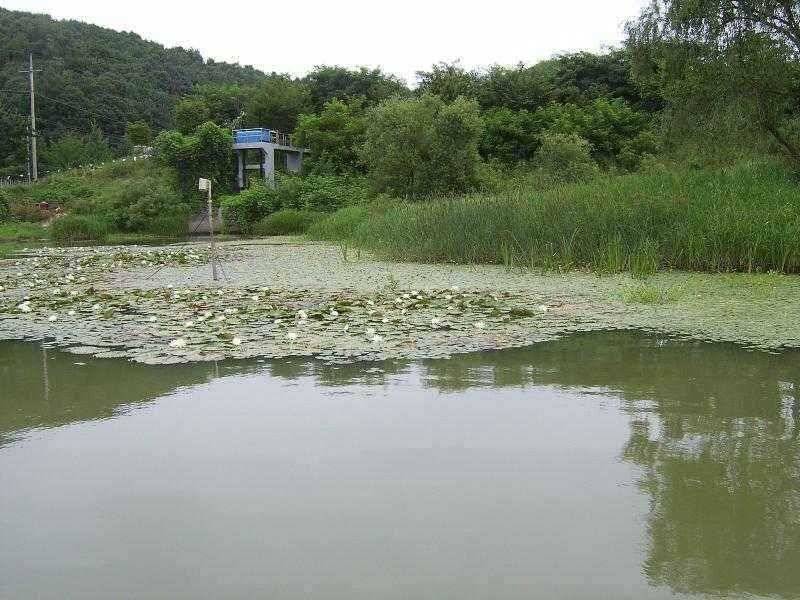 휴가철 광명조황 (유료터정보 - 유료터점주조황)