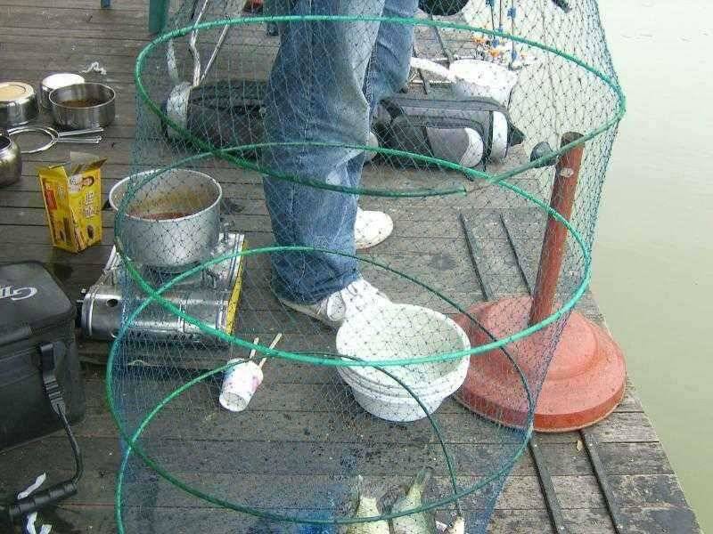 휴가철 광명조황 (유료터정보 - 유료터점주조황)
