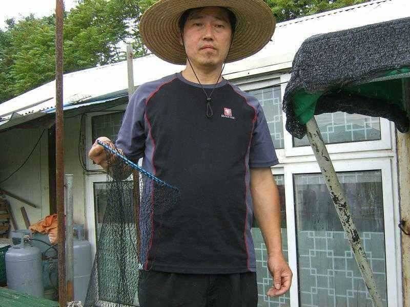 연밭에 붕어들 (유료터정보 - 유료터점주조황)
